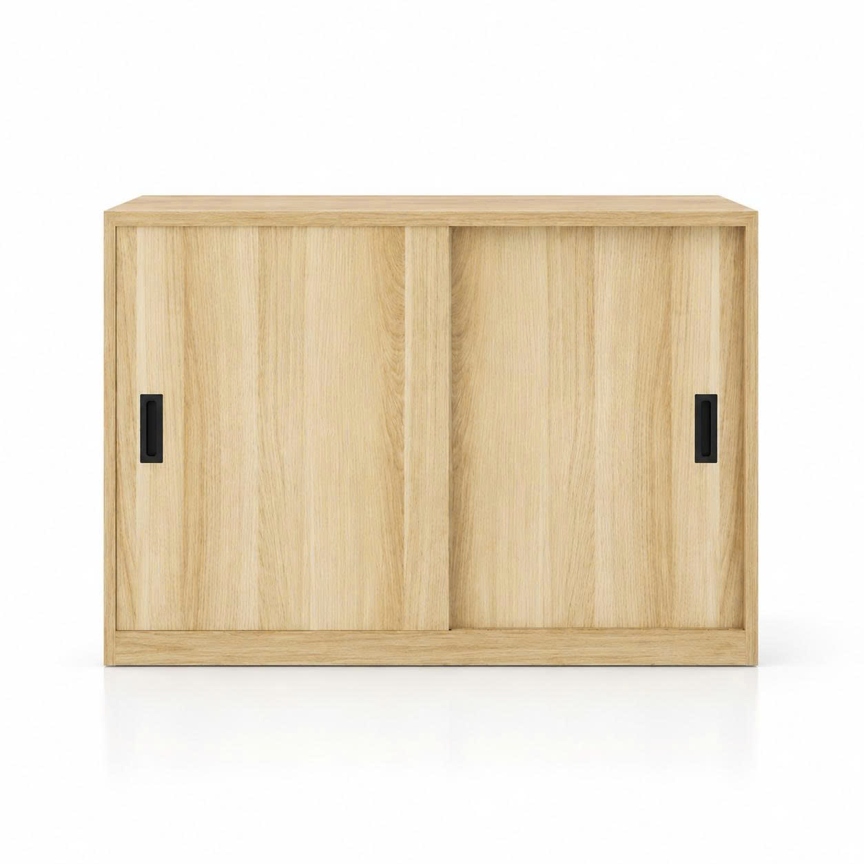 Tủ tài liệu thấp 2 cánh